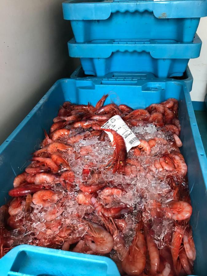 카라펠 Casita De Pescador 아파트 외부 사진